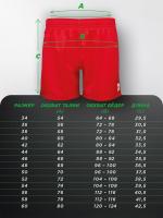 SS-2008FIAS Шорты САМБО Мастер FIAS красные(0)