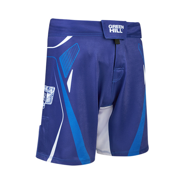 700_MMI-4024MMAU  (4)