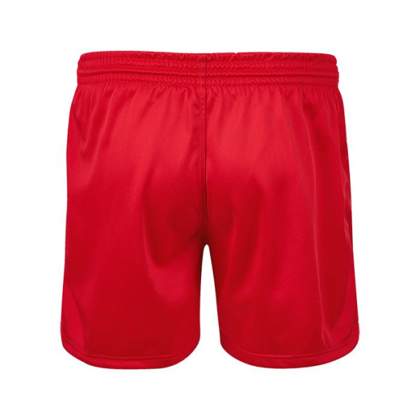 SS-2008FIAS Шорты САМБО Мастер FIAS красные(2)