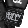 700_BGG-2018RU1 бокс перчатки GYM  (6)