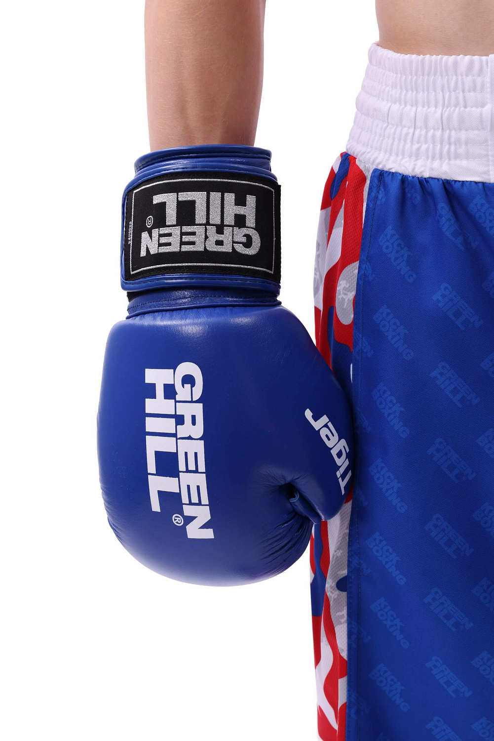 Дисциплина: фулл-контакт, лицензия ФКР