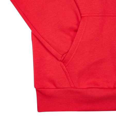 700_FH-10274B Толстовка Boxing красная (2)