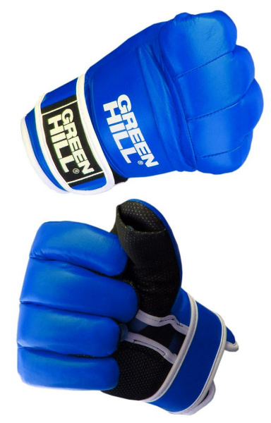 ACG-2256 Blue 2 ACG-2256 Blue 2