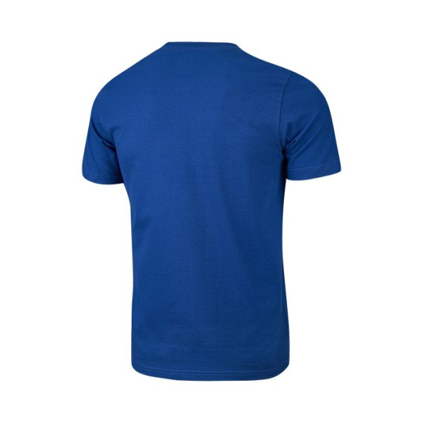 TSGH-10576 Футболка GREEN HILL синяя(2)