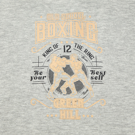 FH-10274BN Толстовка OLD SCHOOL BOXING серая(7)